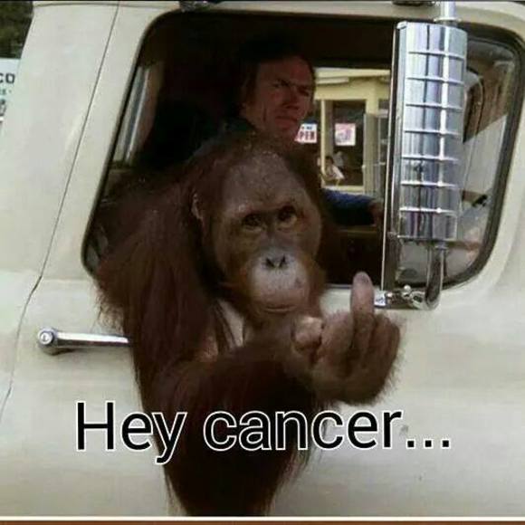 Meet your Posher, Keddy n casey - Picture 1 of 1